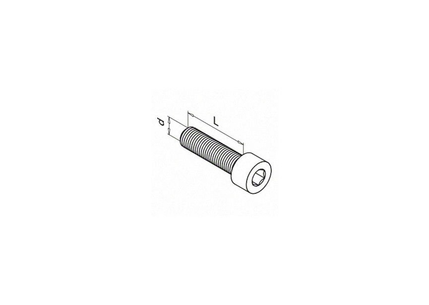 Cilinderschroef met binnenzeskant, QS-551
