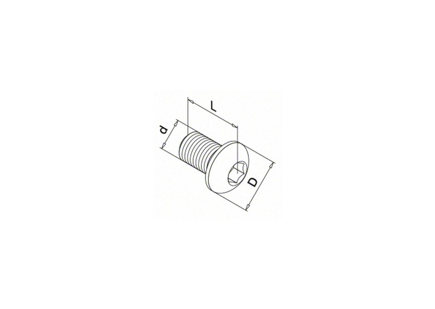 Laagbolkopschroef met binnenzeskant, QS-202